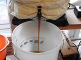 Wort